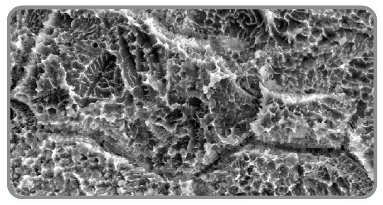 MentorMed SLA implant surface, micrograph
